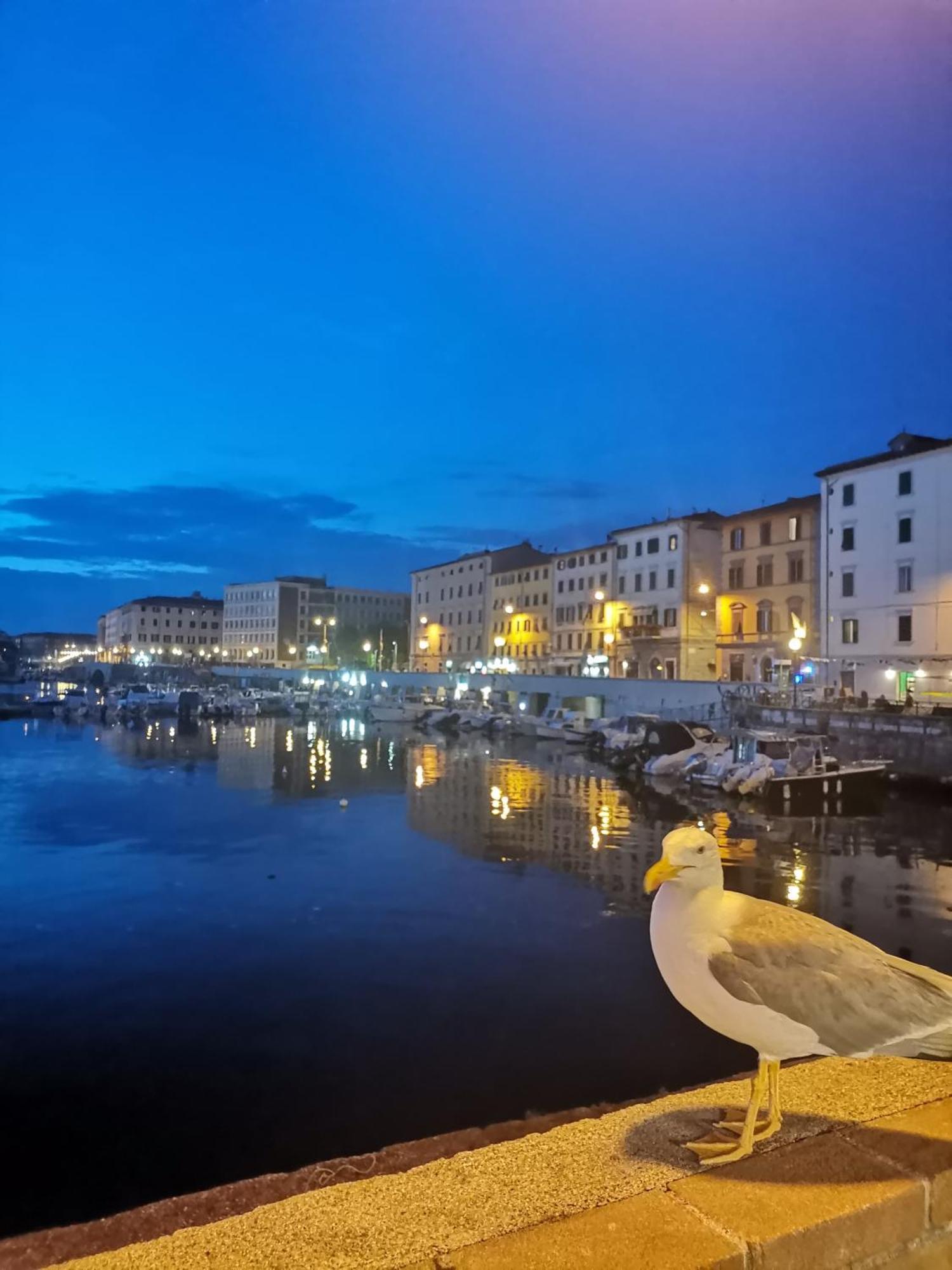 Residenza Vittoria Livorno Lägenhet Exteriör bild